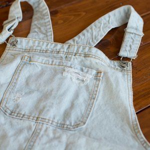 Wild Fable denim overalls skirt